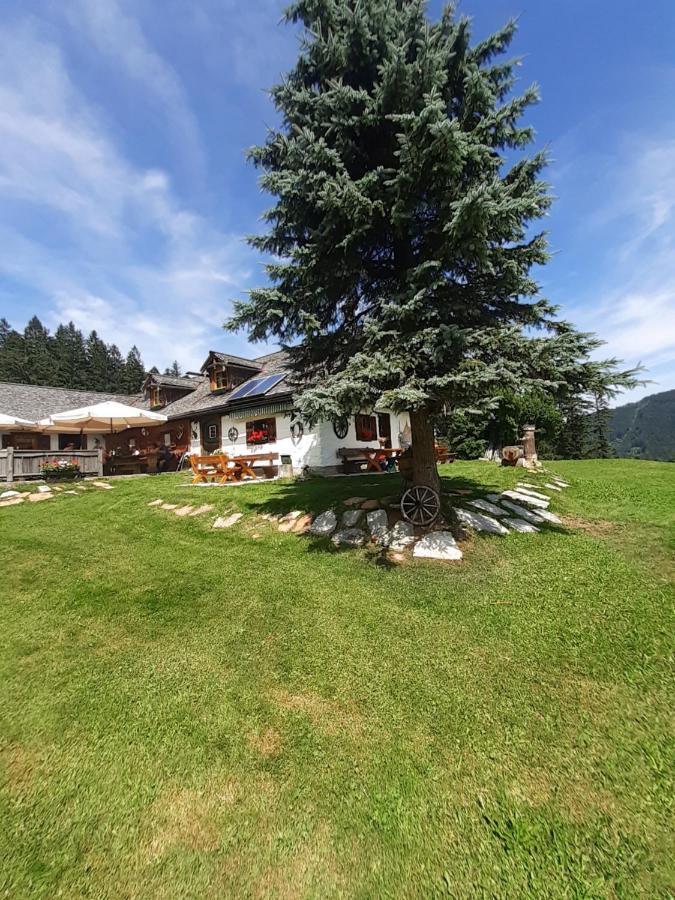 Reitbergs Nest *